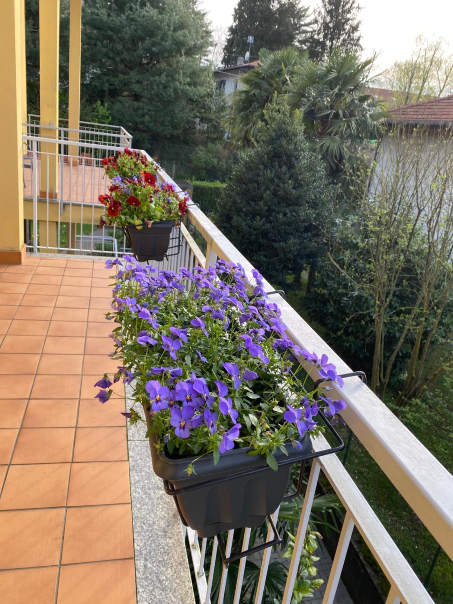 Appartamento Anna Lungo Fiume - Lago Maggiore セスト・カレンデ エクステリア 写真