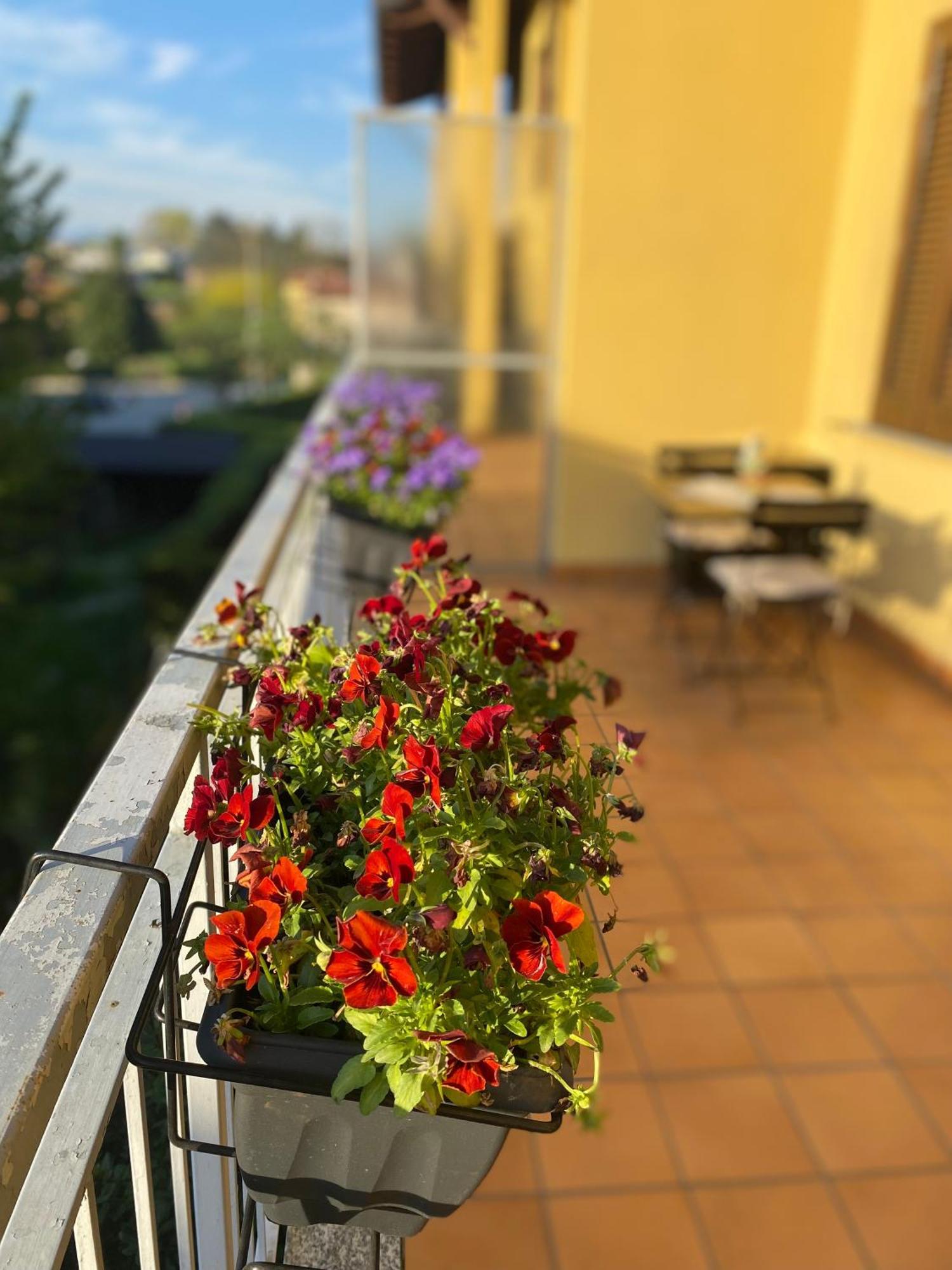 Appartamento Anna Lungo Fiume - Lago Maggiore セスト・カレンデ エクステリア 写真